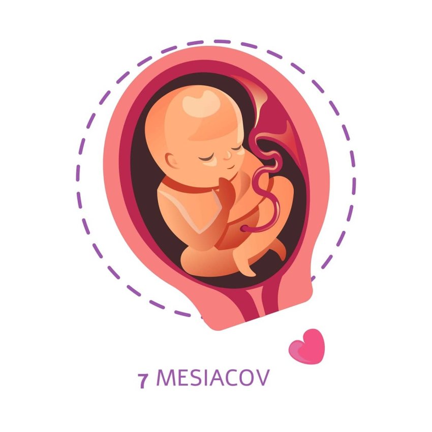 29. týždeň tehotenstva veľkosť plodu